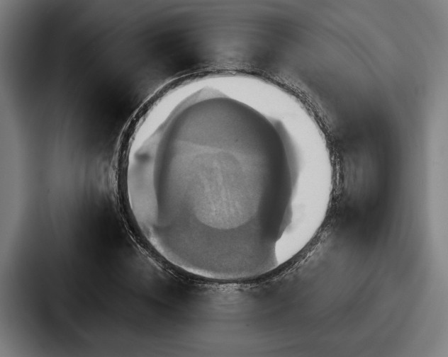 X0000087700828200705111401