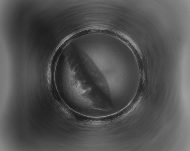 X0000087700829200705111401