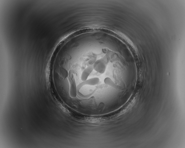 X0000087700831200705111401