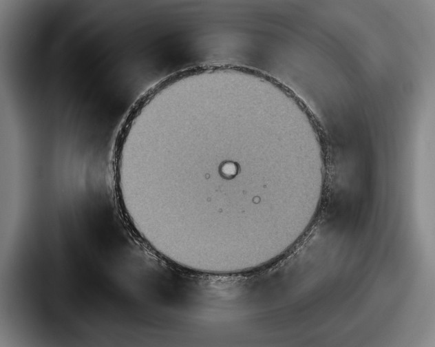 X0000087700832200705111401