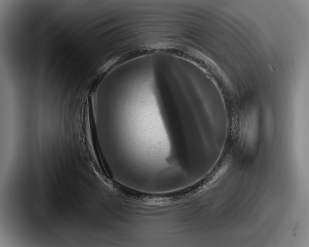 X0000087700833200705111401