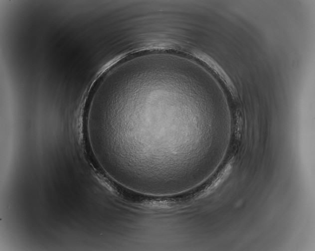 X0000087700834200705111401