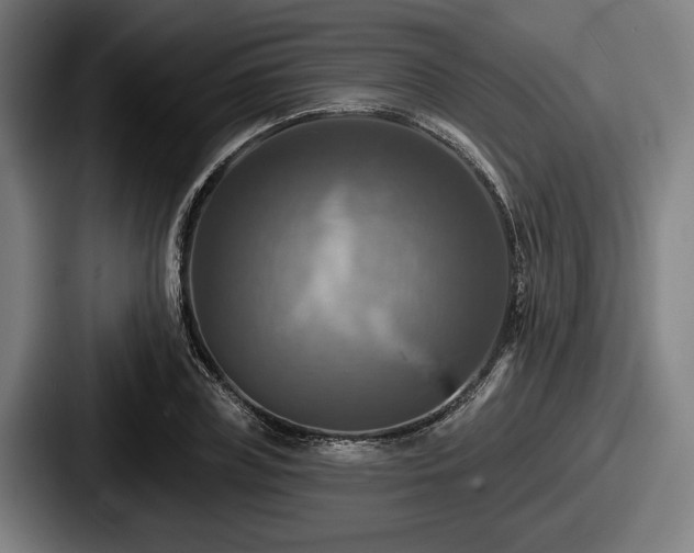 X0000087700835200705111401