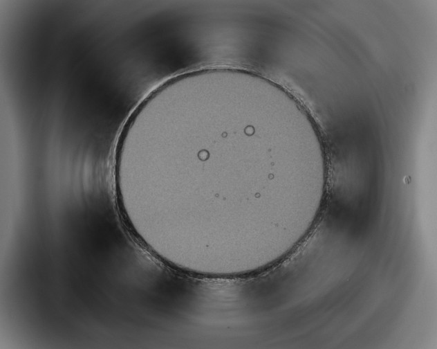 X0000087700836200705111401