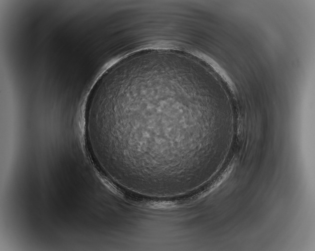 X0000087700837200705111401