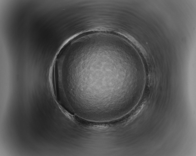 X0000087700838200705111401