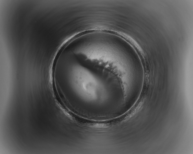 X0000087700839200705111401