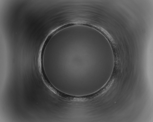 X0000087700840200705111401