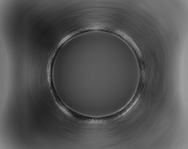 X0000087700842200705111401