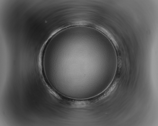 X0000087700843200705111401