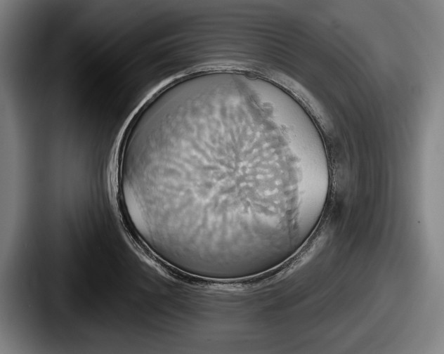 X0000087700844200705111402