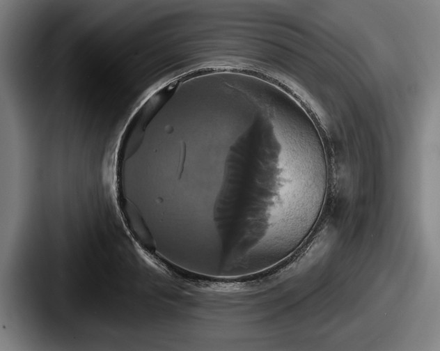 X0000087700845200705111402