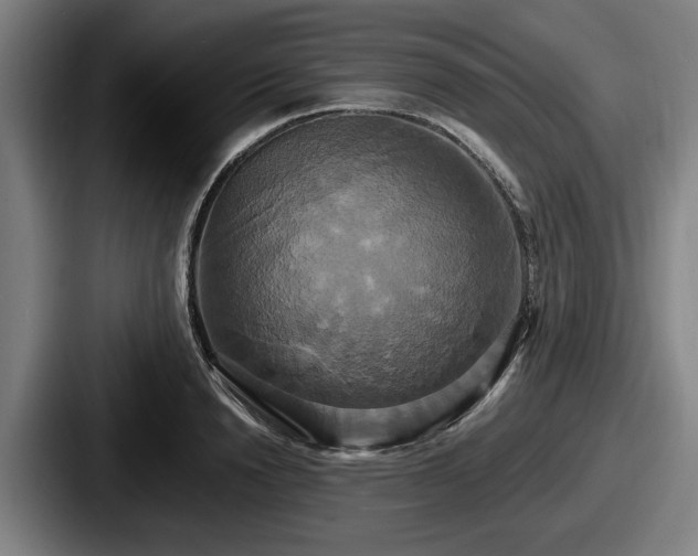 X0000087700846200705111402