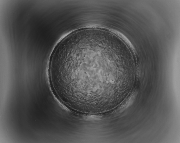 X0000087700847200705111402