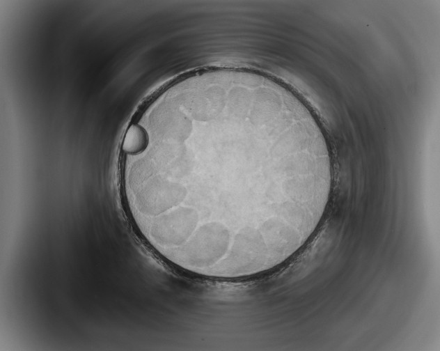 X0000087700848200705111402