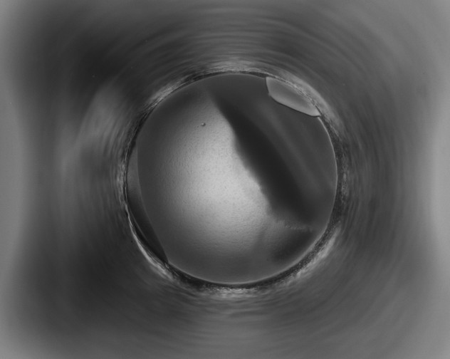 X0000087700849200705111402