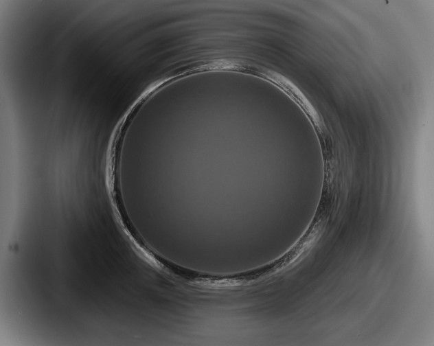 X0000087700851200705111402