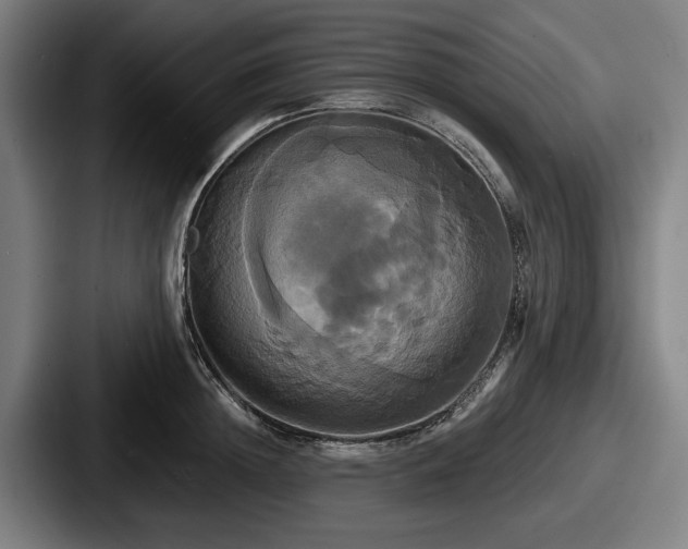 X0000087700852200705111402