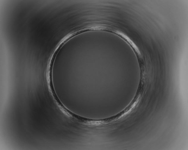 X0000087700853200705111402