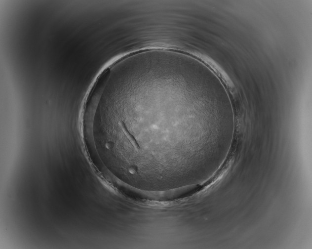 X0000087700854200705111402