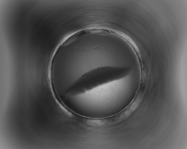 X0000087700855200705111402