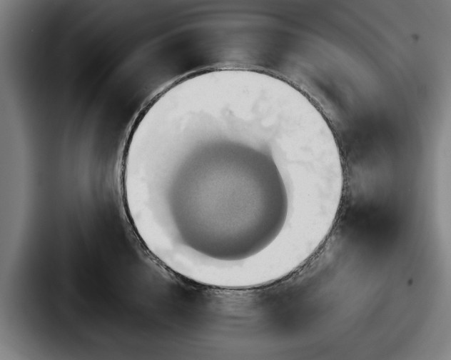 X0000087700856200705111402