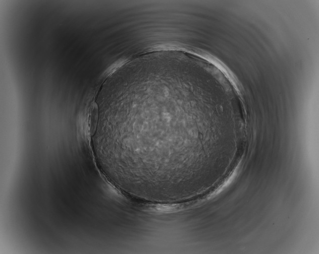 X0000087700857200705111402