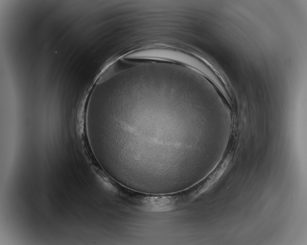 X0000087700858200705111402