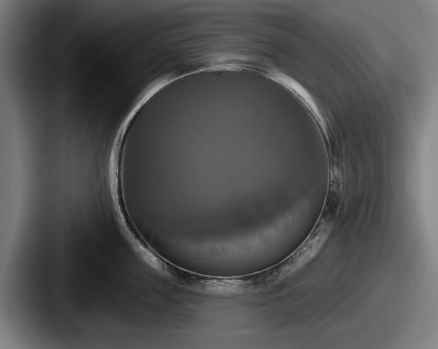 X0000087700859200705111402