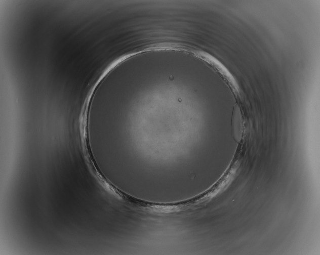 X0000087700860200705111402