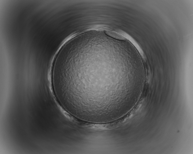 X0000087700861200705111402