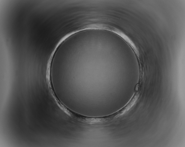 X0000087700862200705111402