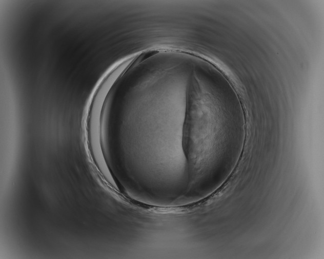 X0000087700864200705111402