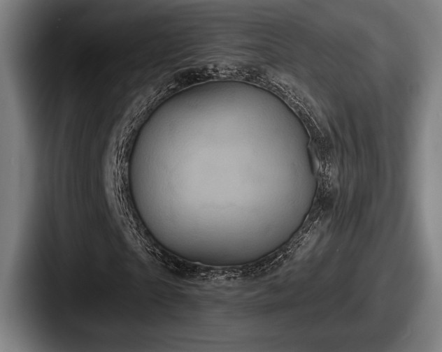 X0000087700865200705111401