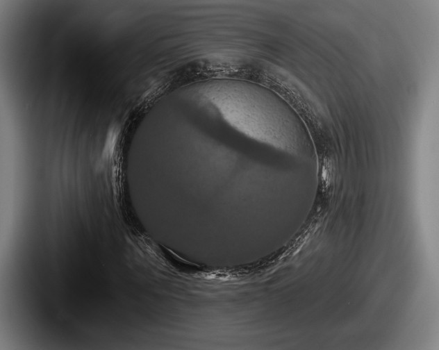 X0000087700867200705111401