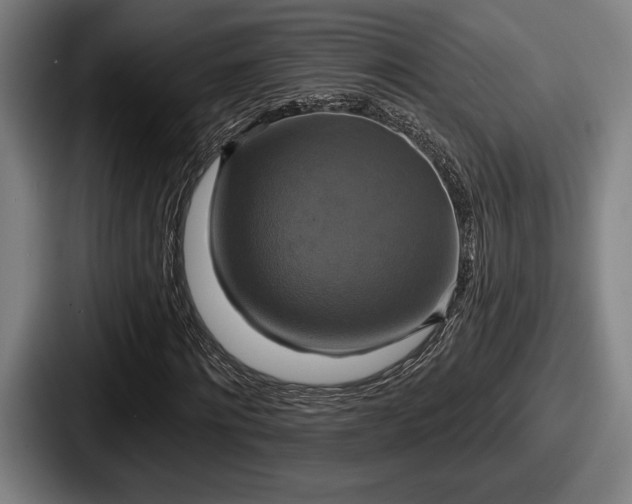 X0000087700868200705111401