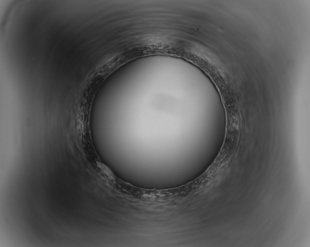 X0000087700869200705111401