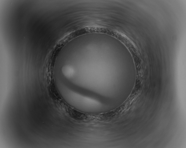 X0000087700870200705111401