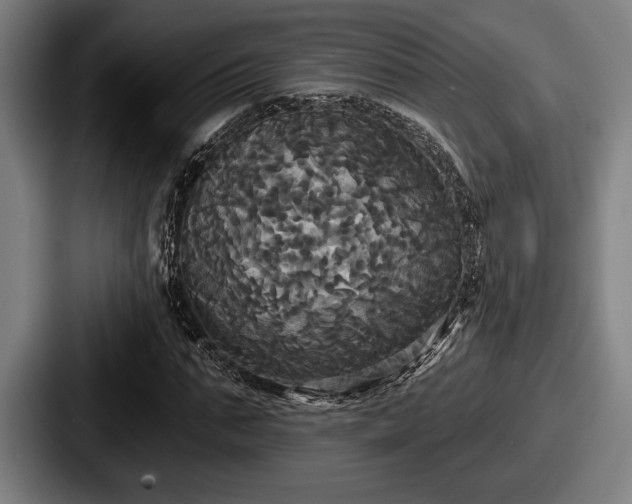 X0000087700871200705111401