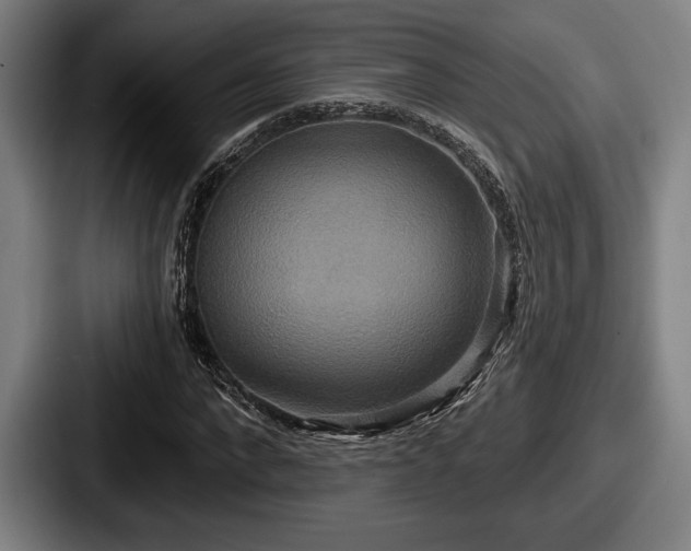 X0000087700872200705111401