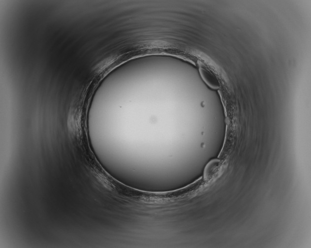 X0000087700873200705111401