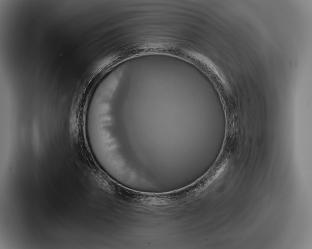 X0000087700874200705111401