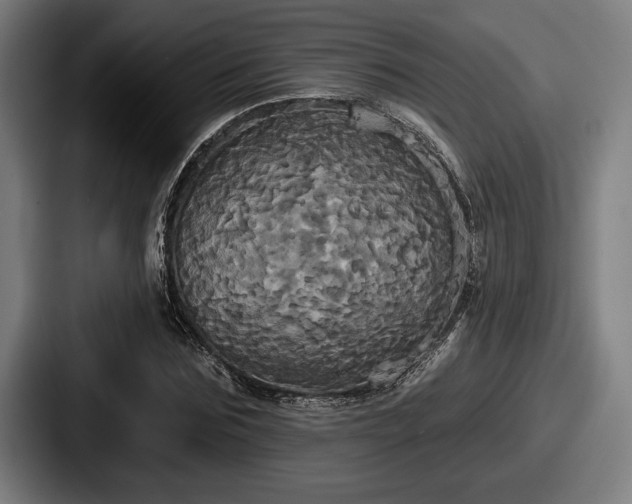 X0000087700875200705111401