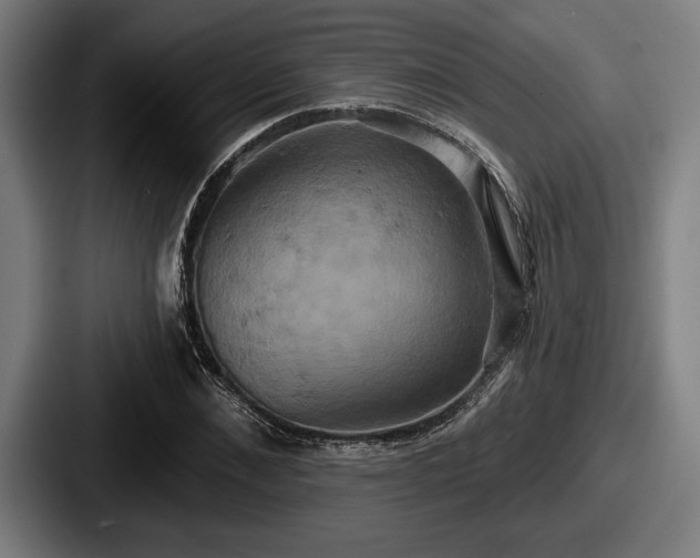 X0000087700876200705111401