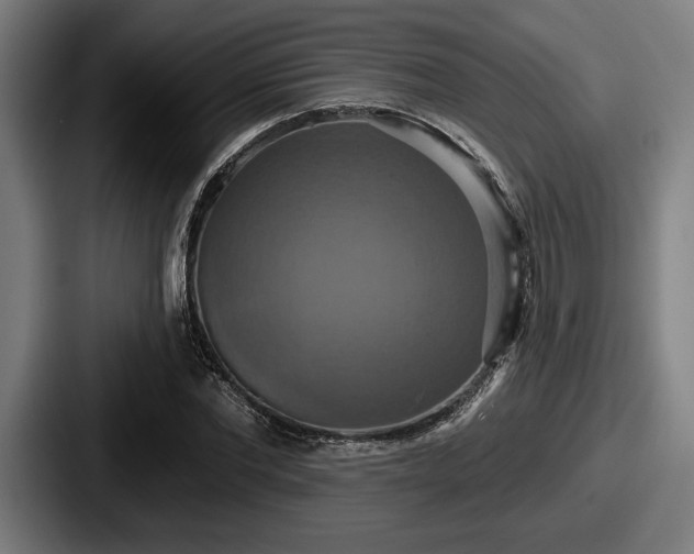 X0000087700877200705111401