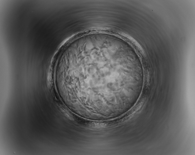 X0000087700878200705111401