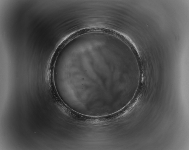 X0000087700879200705111401