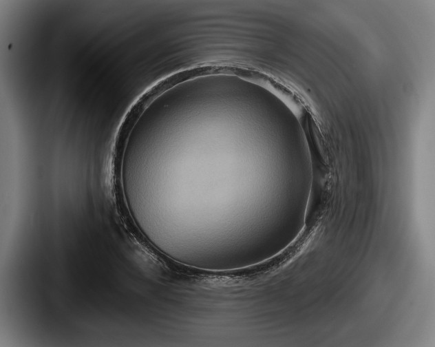 X0000087700880200705111401