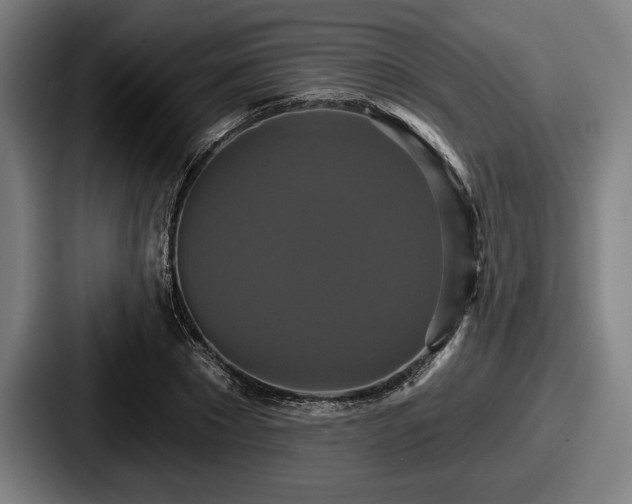 X0000087700881200705111401