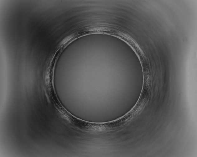 X0000087700882200705111401